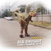 Adult entertainment walking with Raptor dinosaur costume