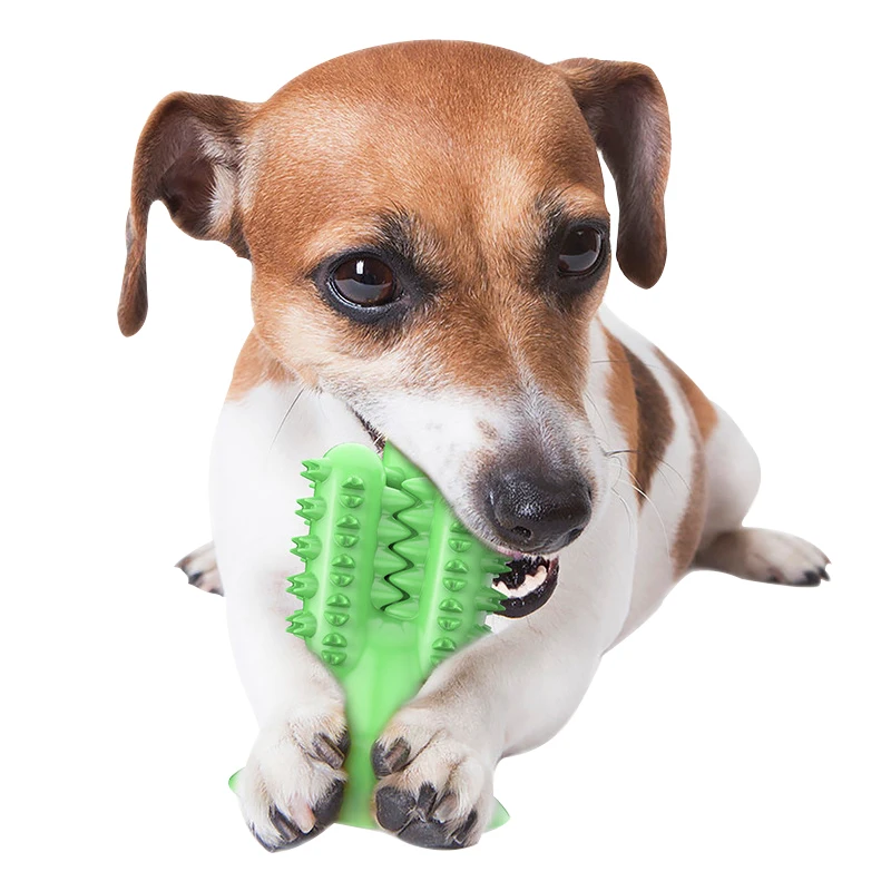 

2021 New Arrival Pet Toys Interactive Pet Teethbush Dog Chew Toy Teeth Cleaning Brush Stick For Dog, Customized color