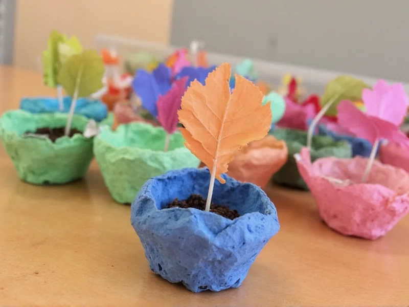Colorful recycled paper seed starters in egg carton