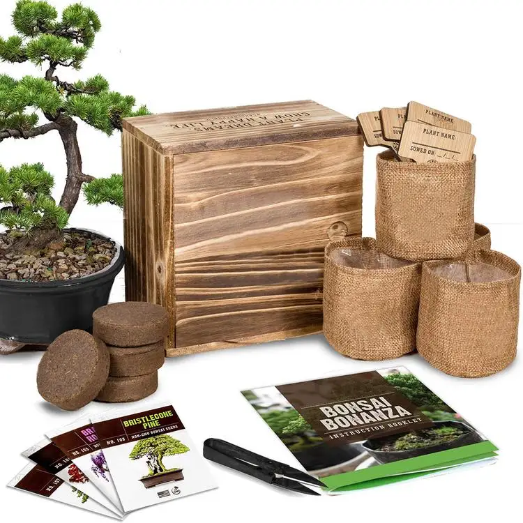

Garden Starter Kit Handmade Durable DIY Grow Set Plants Bonsai Set for Growing Herbs Indoors Home gardening tools