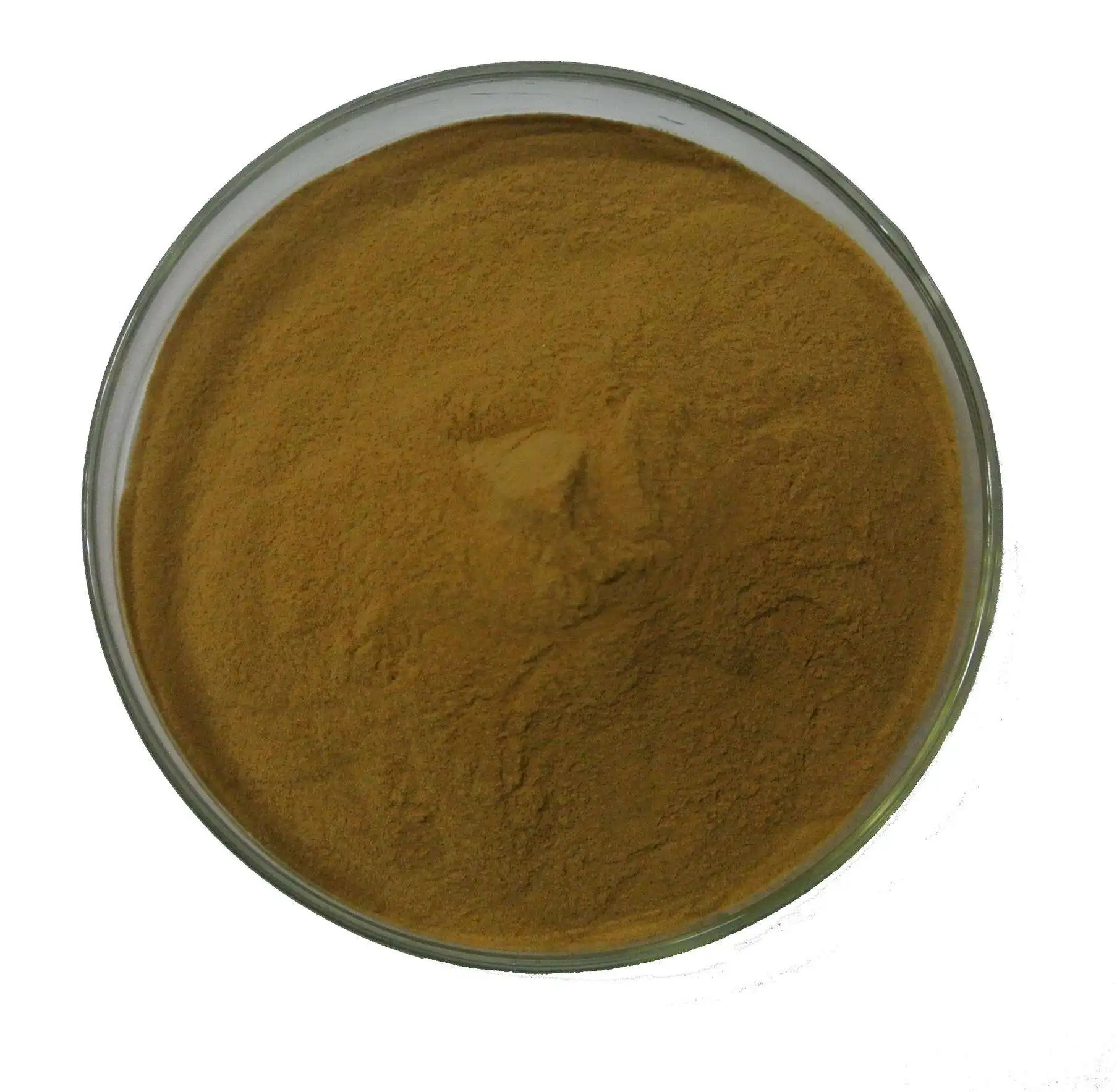 natural & high quality celery extract/apigenin 95 % 98%