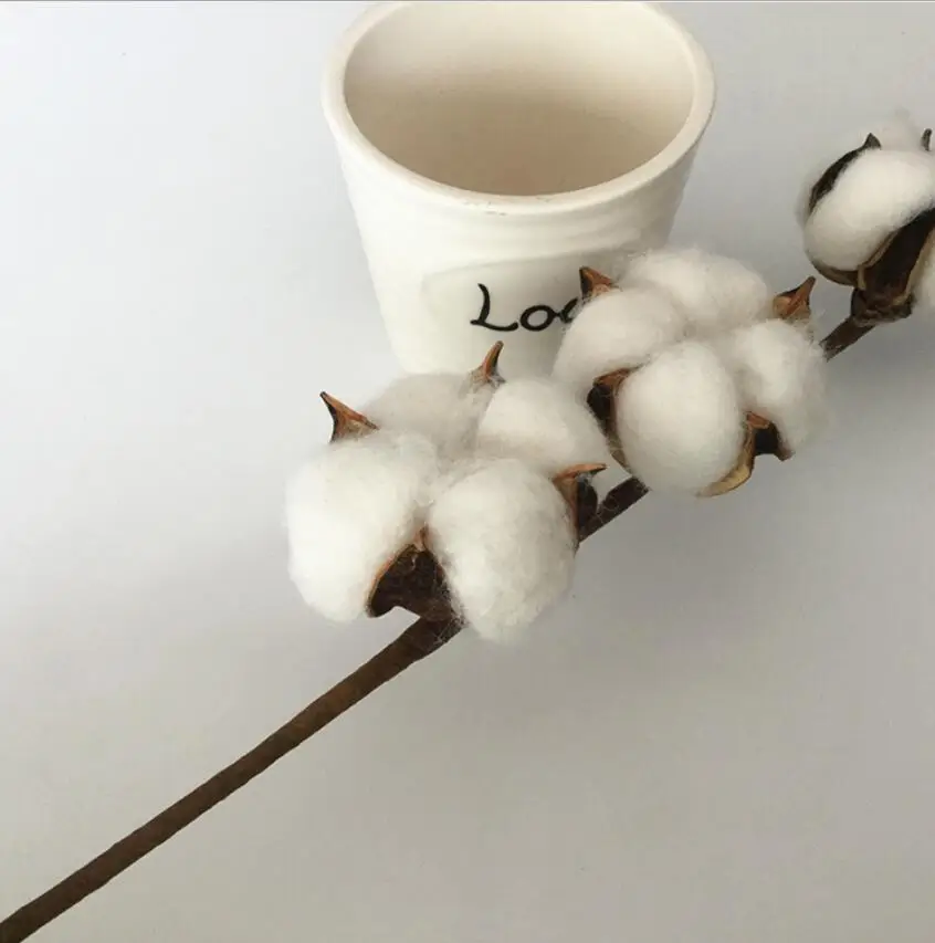 home decoration artificial long stem dried natural cotton flower