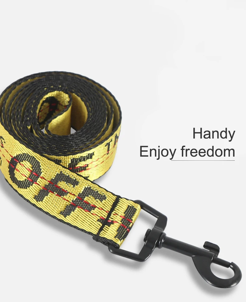 petsmart chain leash