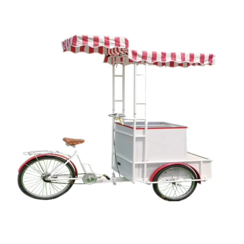 

2020 Factory Direct 3 Wheel Ice Cream Cargo Bike DC Charge Ice Cream Cart Bicycle