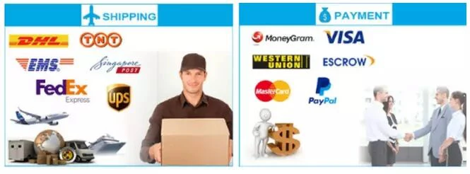 bronze shimmering body oil