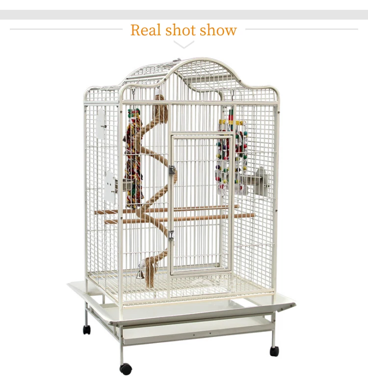 Large Metal Bird Canaries Cages For Bird Breeding Aviaries Canary Buy Canary Bird Canary