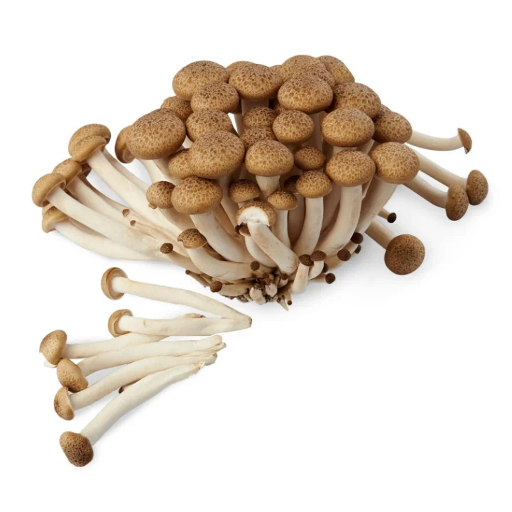 
China Factory Cultivated Mushrooms in Bottle 150/bag 6kgs/ctn Edible Umbrella Fresh Mushrooms 