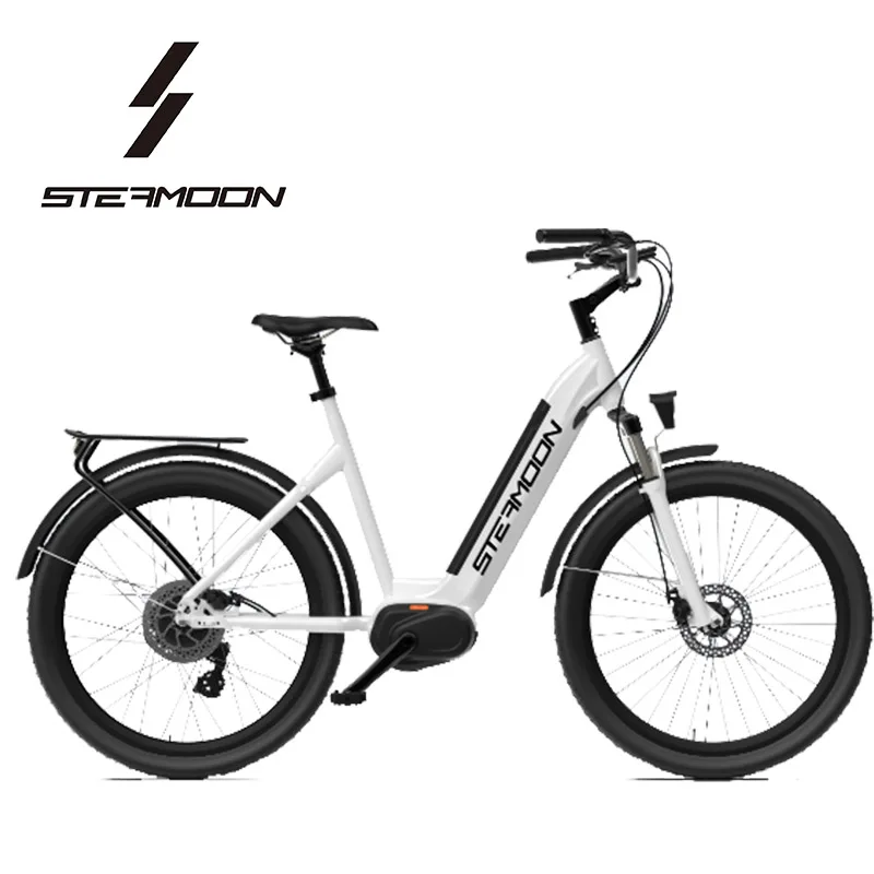

2020 new design 36V 350W rear motor city off road light weight ebike electric bike bicycle for lady
