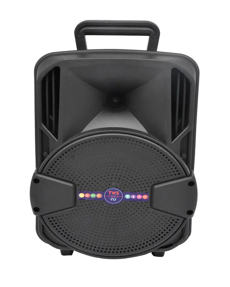 

ALP801 8 inch rechargeable portable amplifier karaoke speaker with microphone and disco lights