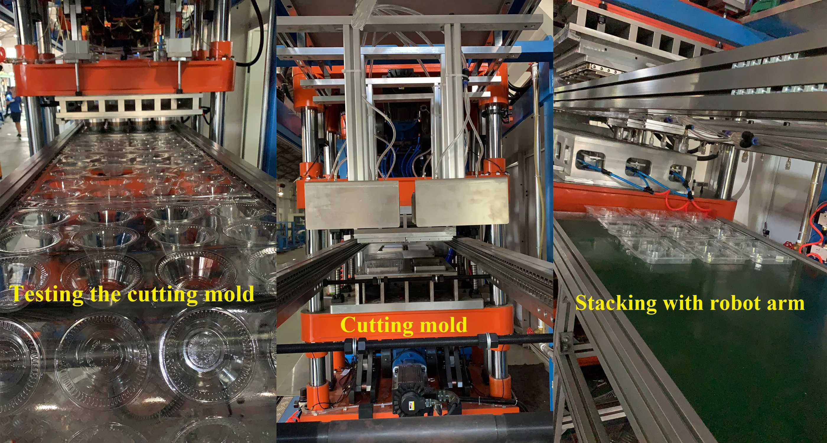 thermoforming machine 7.jpg