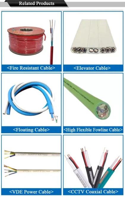 related product.jpg