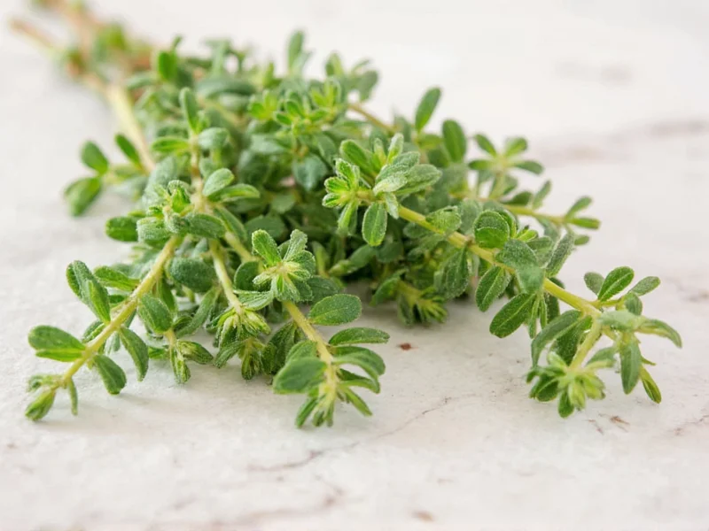 Replacement Time Guide: When to Replace Household Items