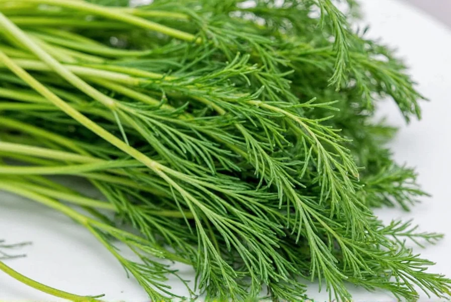 Close-up of fresh dill leaves