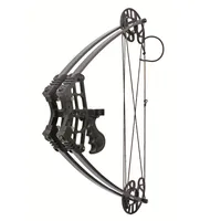 

ZS-M109 Hunting Fishing Competition Compound Bow Set for shooting Archery Arrow 45lbs Aluminum Riser Laminated Limbs