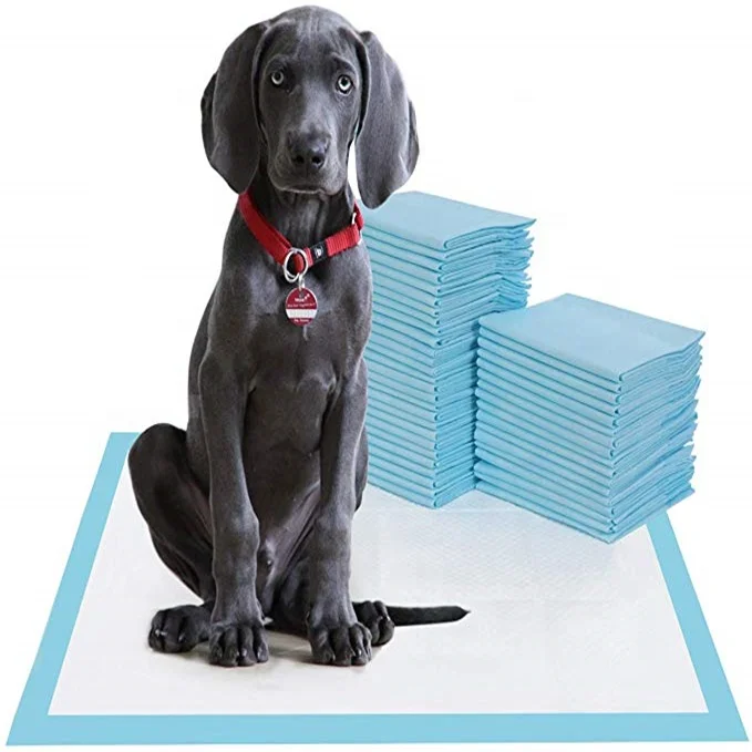 

Wholesale Pet Puppy Training Pads Disposable Dog Pee Pad