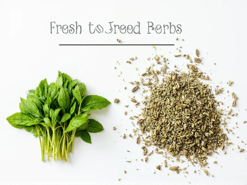 Fresh to Dried Herbs Ratio: The 3:1 Conversion Guide