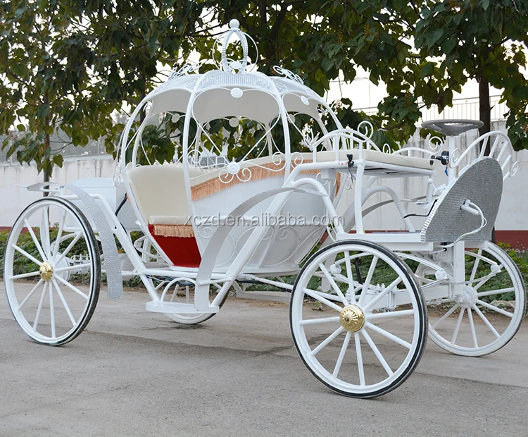 Romantic wedding white pumpkin horse carriageDreamy Horse Drawn Carriage  {ZD-PC37 } 