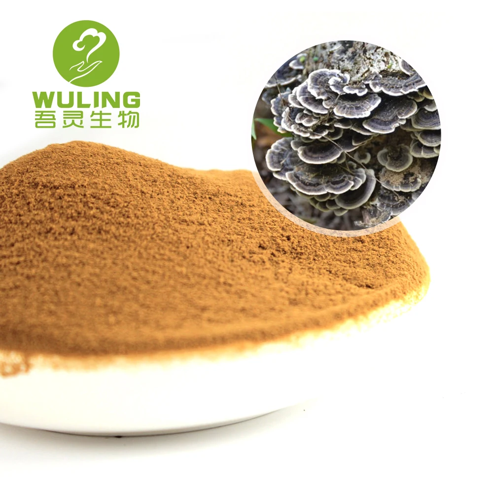 
100% soluble in water Turkey Tail Extract Powder Beta Glucan 50% 