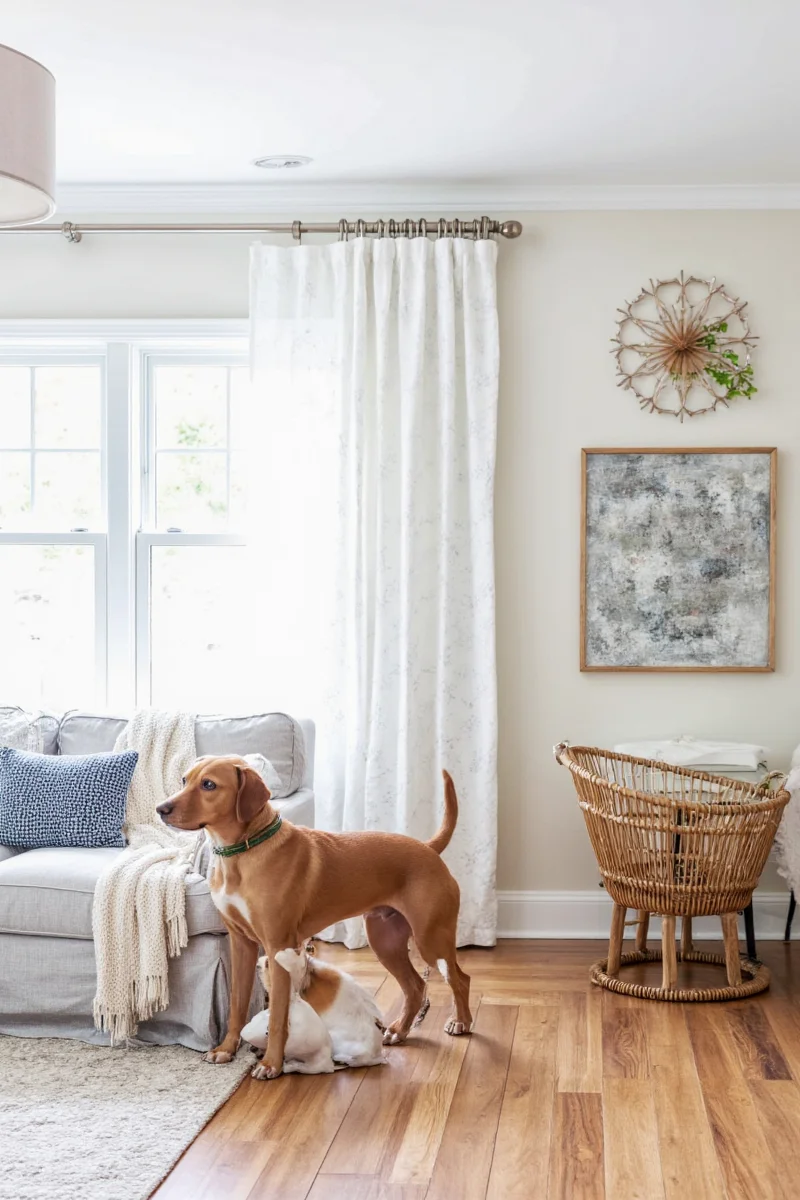 Elevated dog feeding station with wooden base and stainless steel bowls