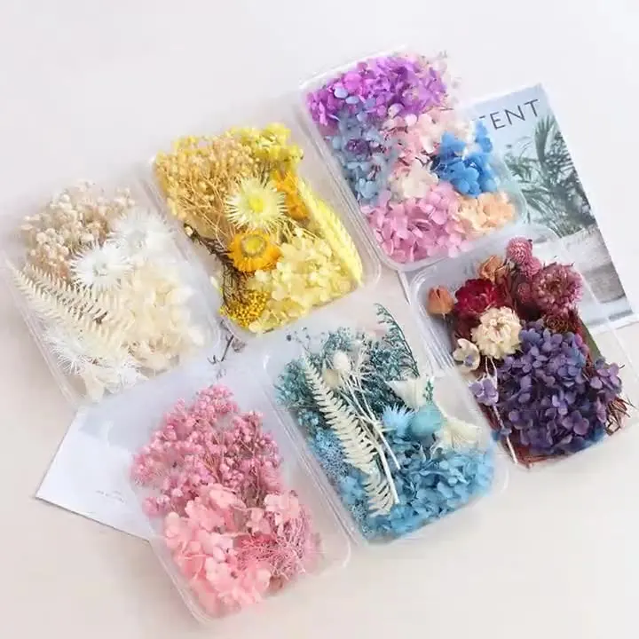 

D177 Dried Flowers Preserved Flowers Material Bag For Candle Diy Hand-Made Photo Frame Dry Flower Materials