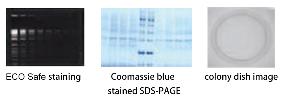 NADE GelSMART Blue Light Gel Document Imaging System