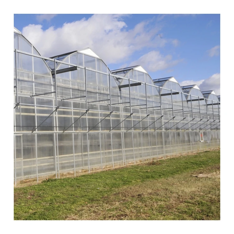 greenhouses polycarbonate professional