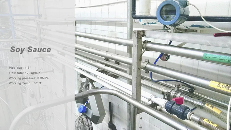 ATEX Coriolis mass flow meter 