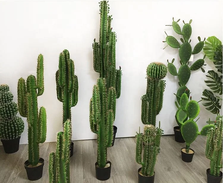 

Natural touch creative design large artificial succulent cactus plant in pot for indoor home decoration, Green yellow and red