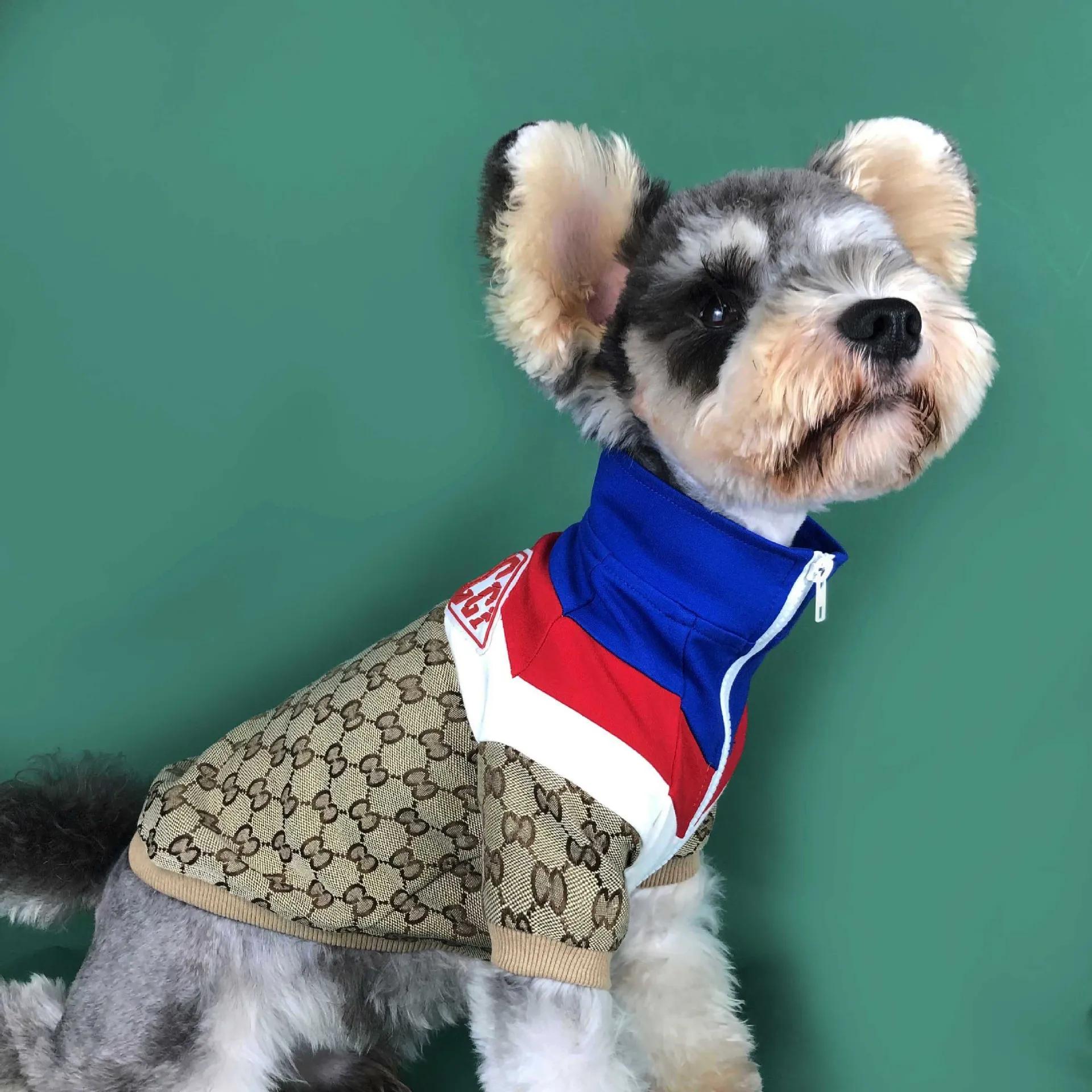 Luxury Pet Clothes Dog Patchwork Jacket Popular Logo Famous Brand Teddy ...