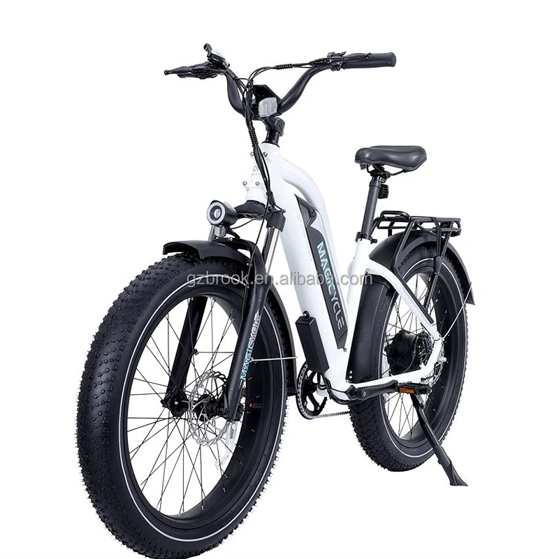 

US Local Delivery free shipping ebike classic fast battery electric bike for sale, Pearl white