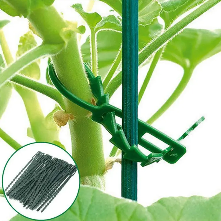 KINGLAKE 100 Pcs 6.7 Inch Flexible Adjustable Plant Ties Plastic Gardening Plant Ties TRTAZ11A