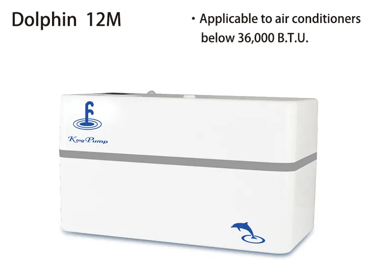 Dolphin-NEW_01