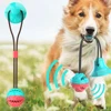 /product-detail/high-quality-suction-cup-rubber-teeth-cleaning-pet-toys-puppy-chewing-toys-dog-toys-pet-leaking-ball-with-handle-for-dog-62429832587.html