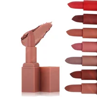 

Waterproof 12 Color Makeup Matte Lipstick Private Label