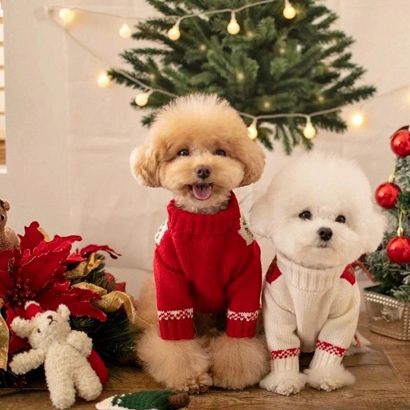 

Wholesale Christmas Cute And Warm Pet Sports Knitting Sweater Dog Clothes