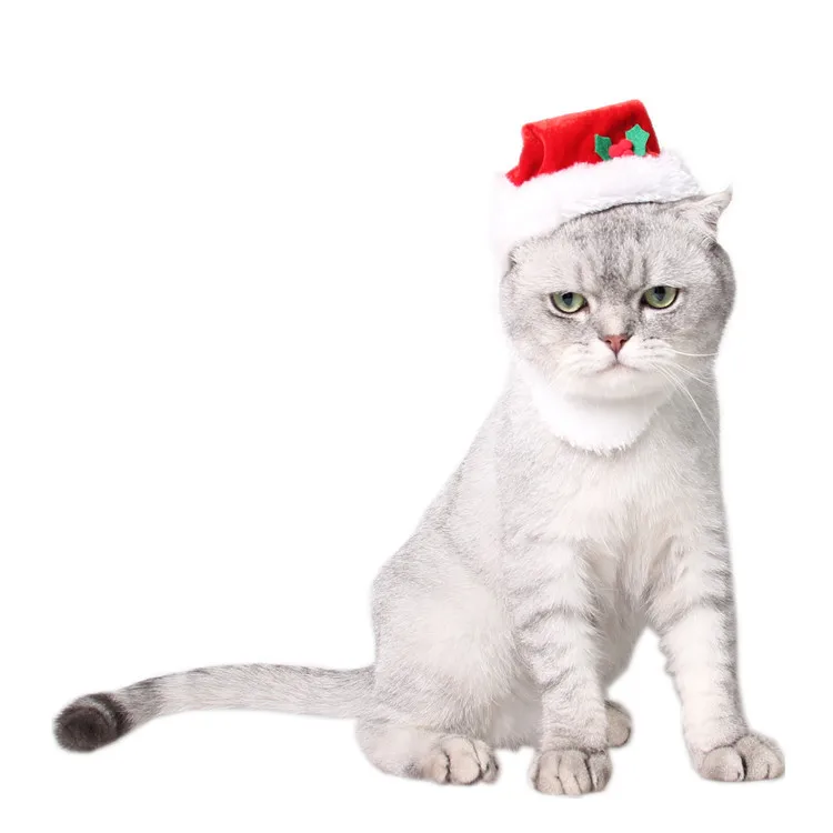 

Funny Style Adorable White Beard Headdress Christmas Dog Pet Hats Cat Bucket Hat Accessories For Pets, Red