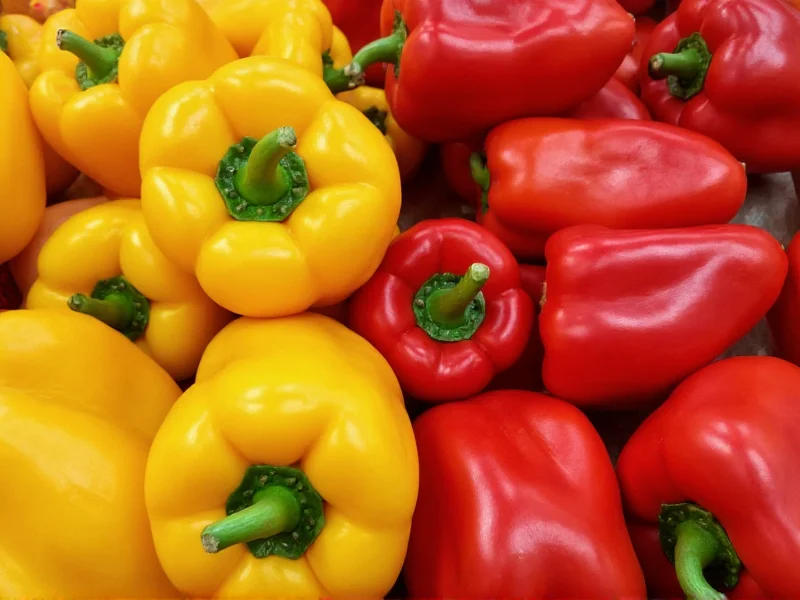 Red Bell Peppers Are the Sweetest: Color Sweetness Guide