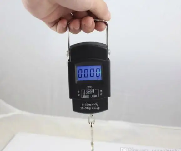 
Electronic Digital Handing Pocket 50Kg 10G Portable Kitchen Hook Balance 