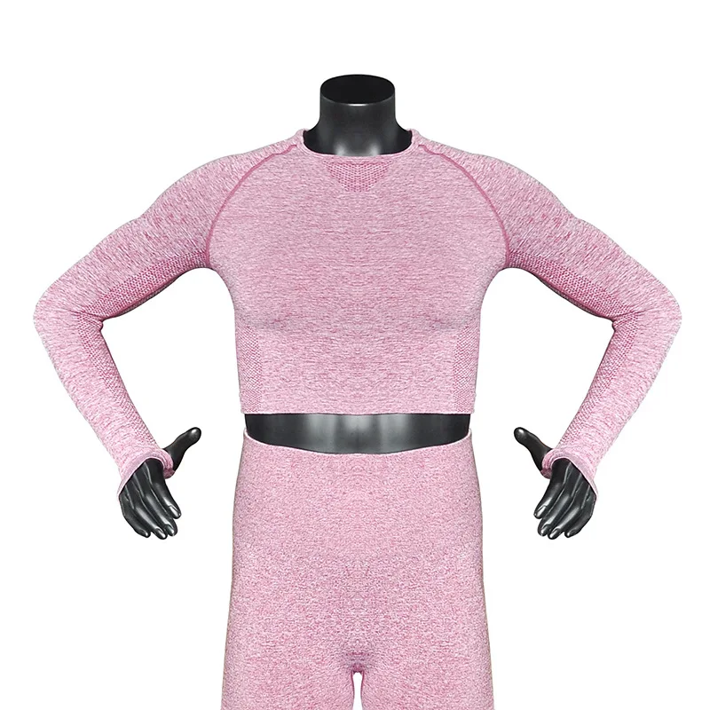 High Quality Yoga Top Long Sleeve Yoga Crop Top Fitness Activewear