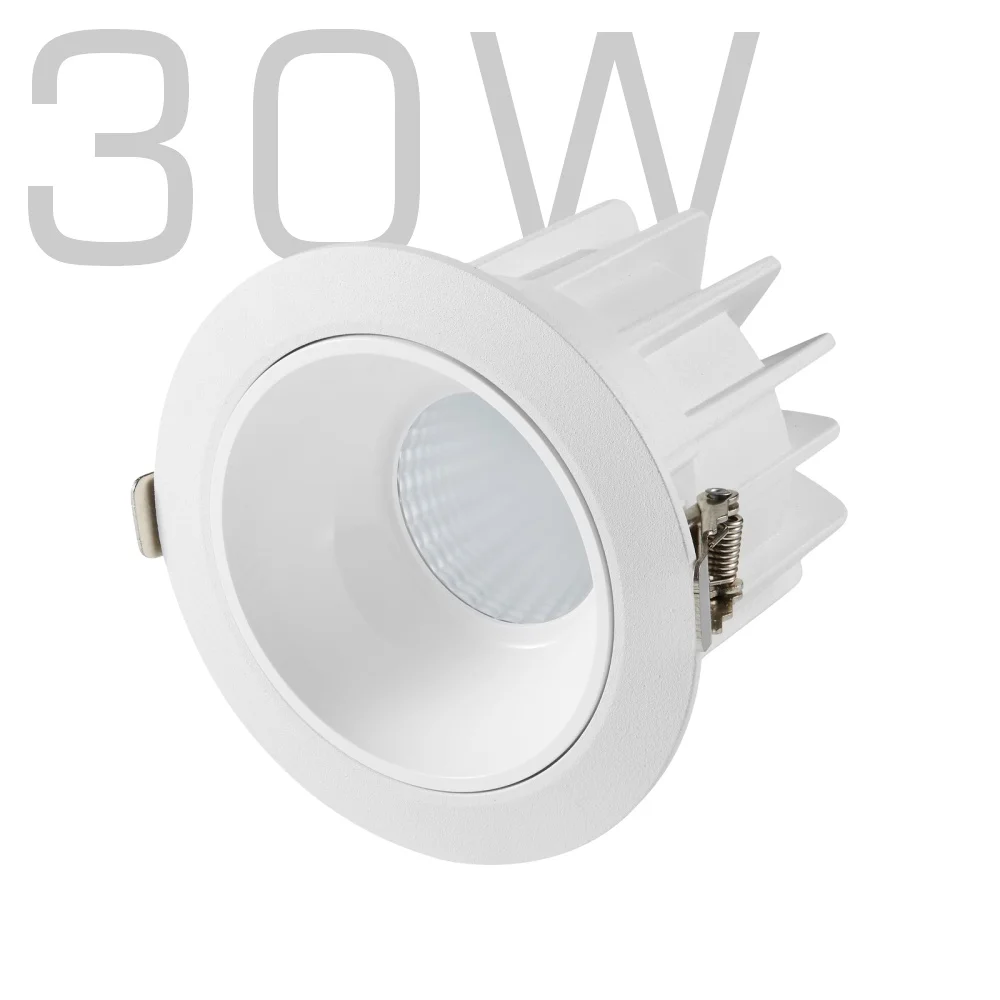 30W LED Downlight LED Light 220V Aurora Wall Washer Cylinder Decorative CCT Dimmable COB LED Downlight for Clubhouse Hall