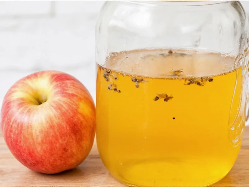 Apple cider vinegar gnat trap in mason jar with floating gnats