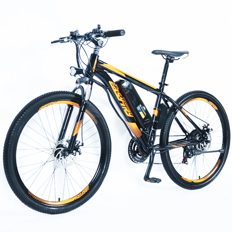e bike china manufacturer customized 10Ah electric bike 36V/48V 250W/350W/500W electric mountain bike