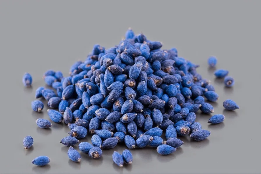 Botanical illustration showing clove tree and buds with accurate color representation