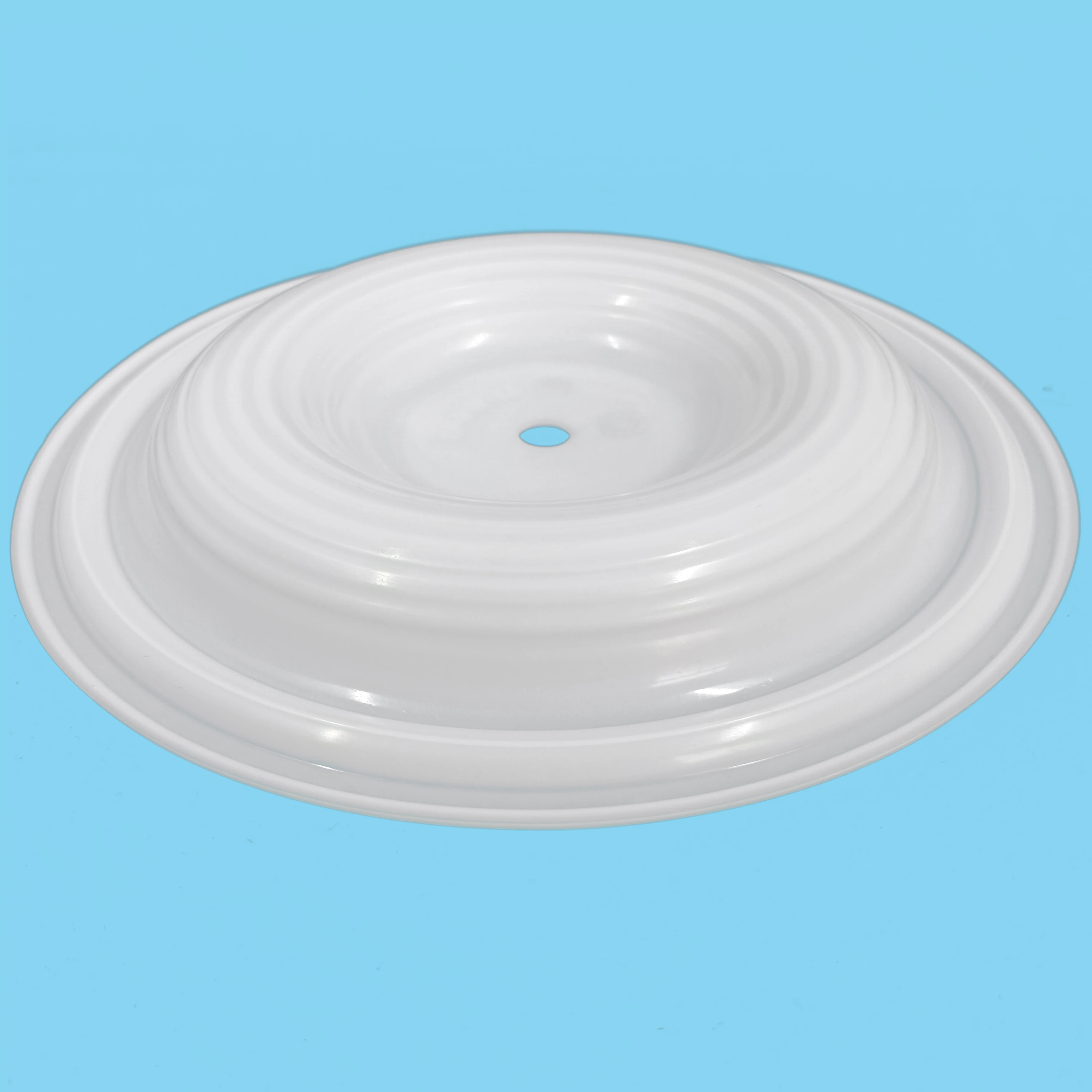 CF02-1010-55 Diaphragm manufacture