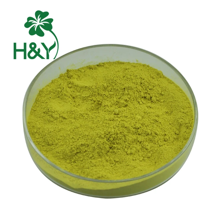 Sophora Japonica Extract High Purity 98% Quercetin Powder - Buy ...