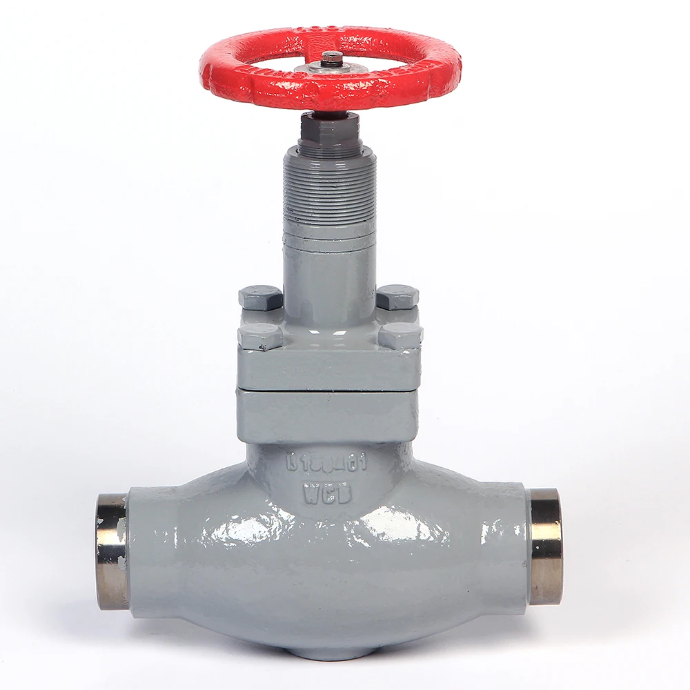 Welding Type Ammonia Valve For Ammonia Cold Room Buy Y Type Globe