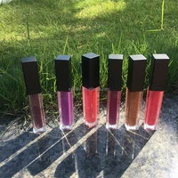 

Hot Selling Don't Touch Make Your Own Brand Custom Matte Liquid Lipstick Private Label