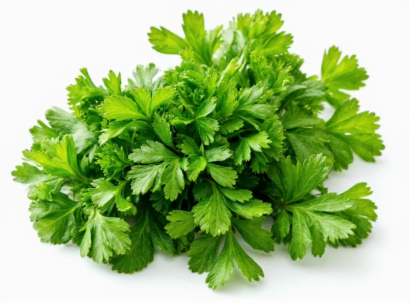 Parsley Is Not Cilantro: Clearing Up the Herb Confusion