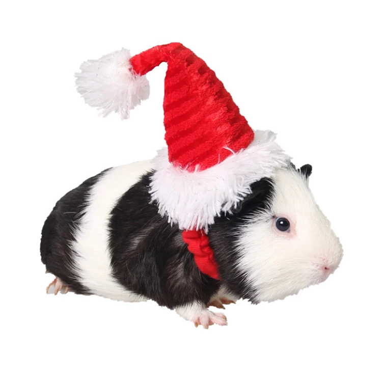 

2020 Top Selling Hamster Totoro Guinea pig Hedgehog Rabbit Cat Small Pet Holiday Decoration Plush Christmas hat For Party