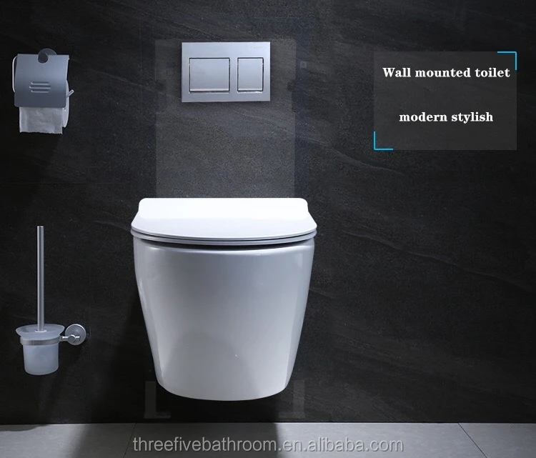 Composting Toilet Waterless Concealed Cistern For Wall Hung Design Dual Flush Ceramic In Tank